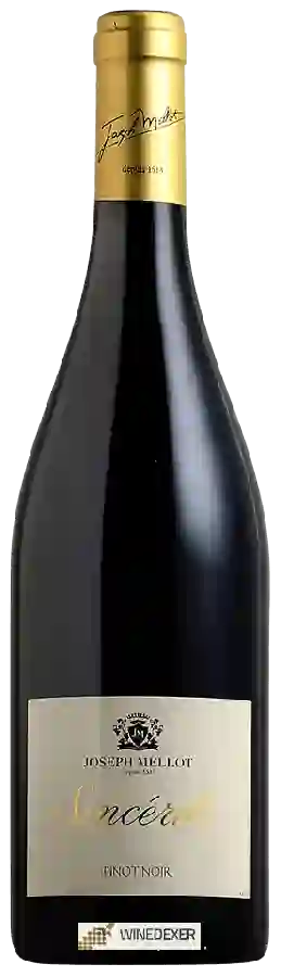 Winery Joseph Mellot - Sincérité Pinot Noir