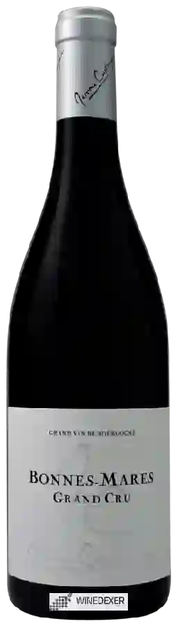 Winery Jérôme Castagnier - Bonnes-Mares Grand Cru