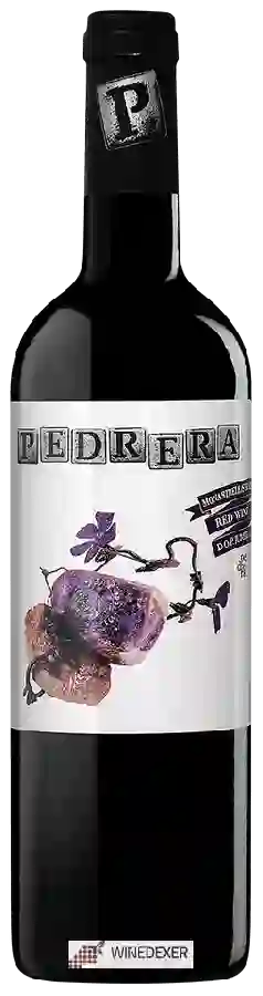 Winery Juan Gil - Pedrera Monastrell - Shiraz Jumilla Winery Juan Gil - Pedrera Monastrell - Shiraz Jumilla