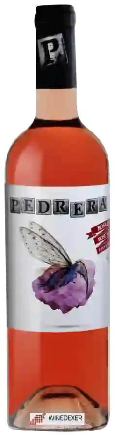 Winery Juan Gil - Pedrera Rosado