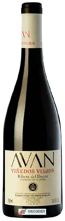 Winery Juan Manuel Burgos - Avan Vi&ntildeedos Viejos