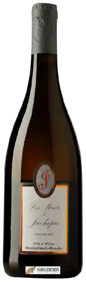 Domaine de Juchepie - Les Monts de Juchepie Chenin Sec Domaine de Juchepie - Les Monts de Juchepie Chenin Sec