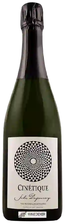 Winery Jules Desjourneys - Cinetique Winery Jules Desjourneys - Cinetique