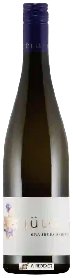 Winery Jülg - Grauburgunder Trocken