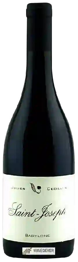 Winery Julien Cécillon - Babylone Saint-Joseph