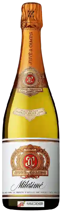 Winery Juvé & Camps - Cava Brut Milesimé Winery Juvé & Camps - Cava Brut Milesimé