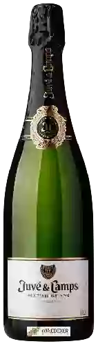 Winery Juvé & Camps - Cava Nectar Blanc Reserva Dulce