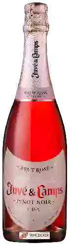 Winery Juvé & Camps - Cava Pinot Noir Rosé Brut
