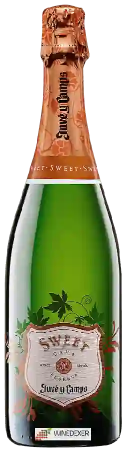 Winery Juvé & Camps - Cava Reserva Sweet
