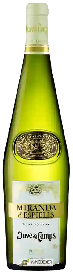 Winery Juvé & Camps - Chardonnay Flor Penedès Miranda d'Espiells