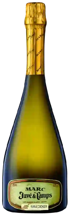 Winery Juvé & Camps - Marc de Cava Winery Juvé & Camps - Marc de Cava