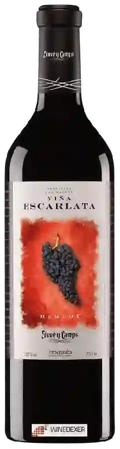 Winery Juvé & Camps - Merlot Penedès Viña Escarlata Winery Juvé & Camps - Merlot Penedès Viña Escarlata