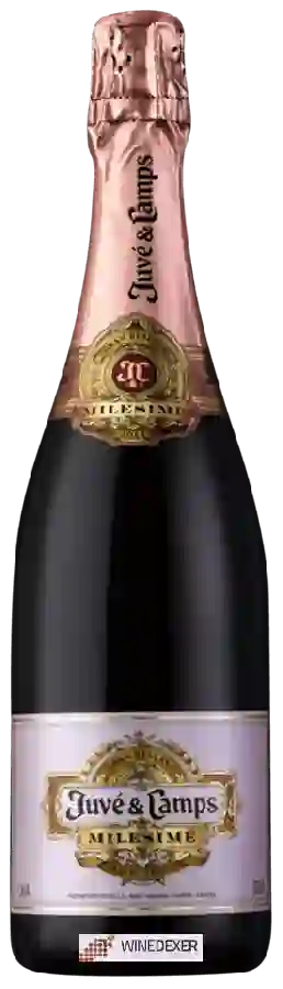 Winery Juvé & Camps - Milesimé Gran Reserva Rosé