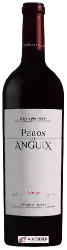 Winery Juvé & Camps - Pagos de Anguix Barrueco