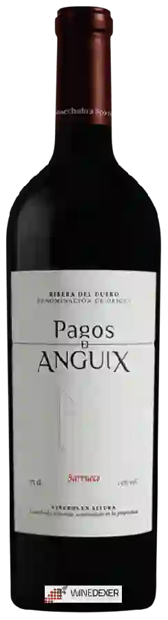 Winery Juvé & Camps - Pagos de Anguix Barrueco Winery Juvé & Camps - Pagos de Anguix Barrueco