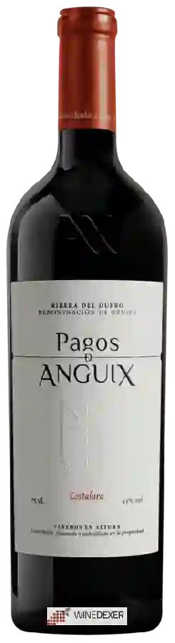 Winery Juvé & Camps - Pagos de Anguix Costalara Winery Juvé & Camps - Pagos de Anguix Costalara