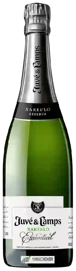 Winery Juvé & Camps - Reserva Essential Xarel-lo