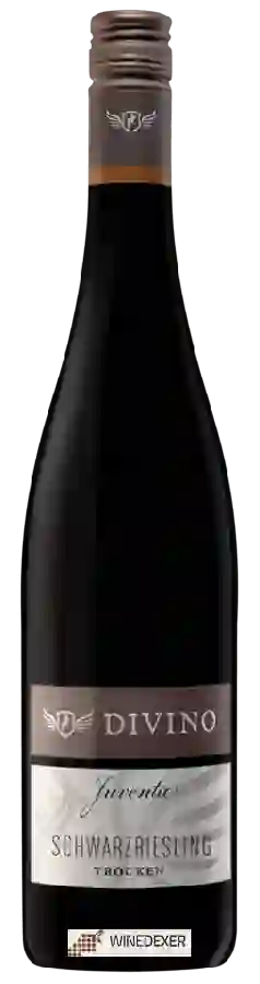 Winery Juventa - Schwarzriesling Trocken Winery Juventa - Schwarzriesling Trocken