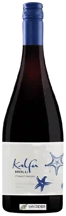 Winery Kalfu - Molu Pinot Noir