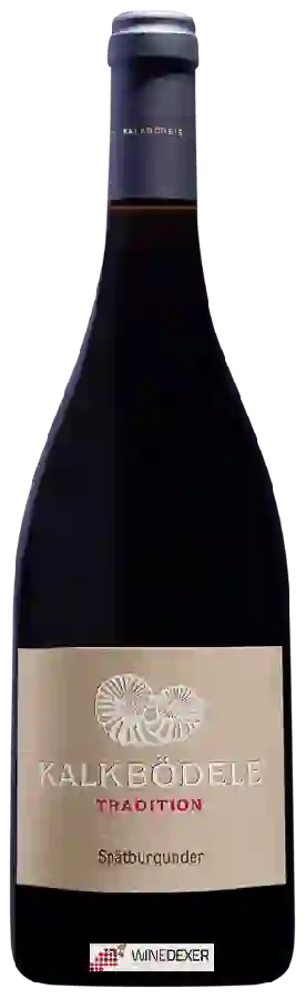 Weingut Gebrüder Mathis - Tradition Spätburgunder Weingut Gebrüder Mathis - Tradition Spätburgunder