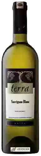 Winery Kayra - Terra Sauvignon Blanc