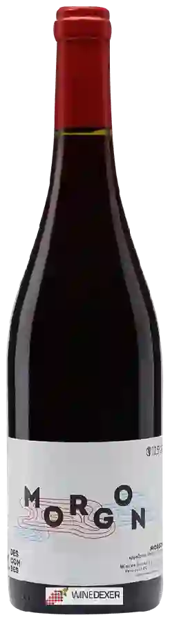 Winery Kevin Descombes - Morgon