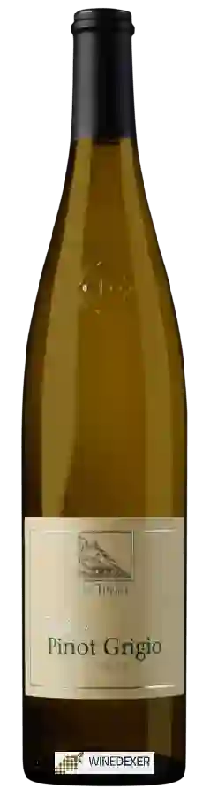 Winery Terlan (Terlano) - Pinot Grigio