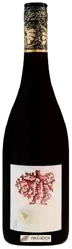 Winery Kerri Greens - Murra Pinot Noir