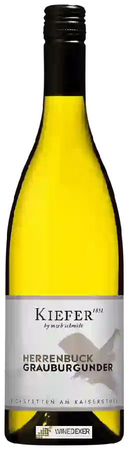 Winery Kiefer - Herrenbuck Grauburgunder