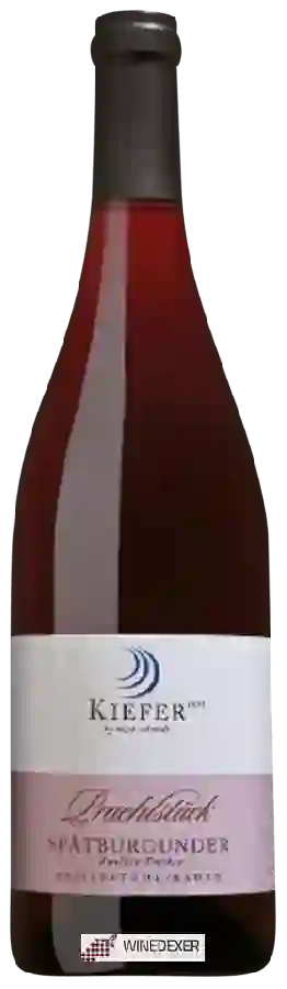 Winery Kiefer - Prachtstück Spätburgunder Auslese Trocken