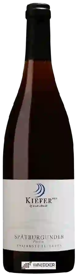 Winery Kiefer - Spätburgunder Trocken