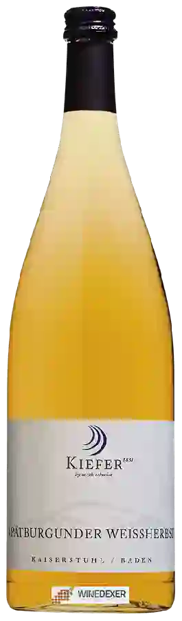 Winery Kiefer - Spätburgunder Weissherbst