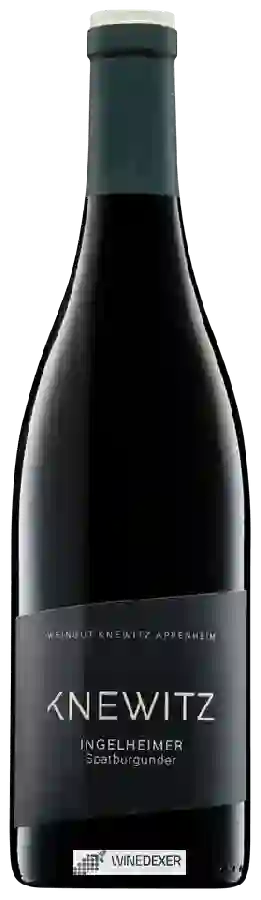 Winery Knewitz - Ingelheimer Spätburgunder Winery Knewitz - Ingelheimer Spätburgunder