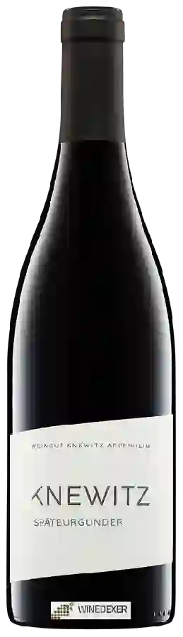 Winery Knewitz - Spätburgunder Winery Knewitz - Spätburgunder