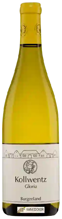 Winery Kollwentz - Gloria Winery Kollwentz - Gloria