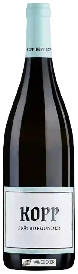Winery Kopp - Spätburgunder