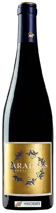 Winery Korrell - Paradies Riesling