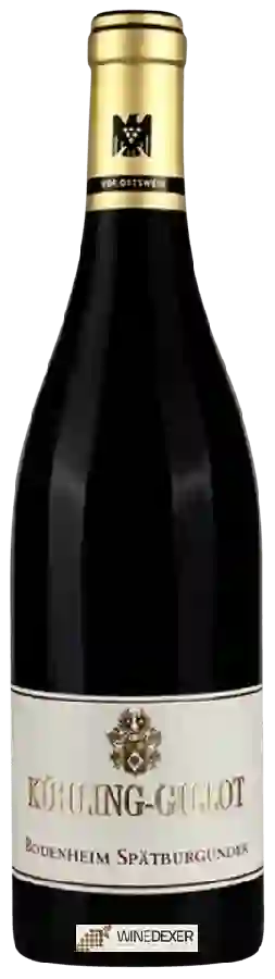 Winery Kühling-Gillot - Bodenheim Spätburgunder