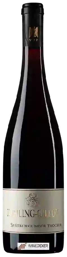 Winery Kühling-Gillot - Spätburgunder Trocken Winery Kühling-Gillot - Spätburgunder Trocken