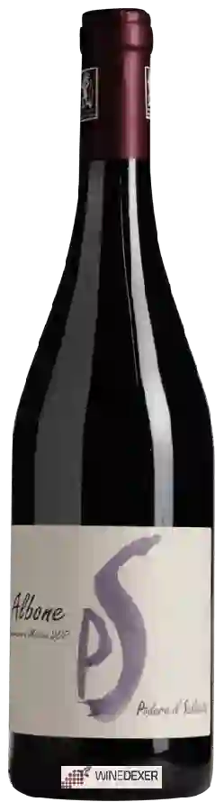 Winery Podere Il Saliceto - Albone Lambrusco di Modena