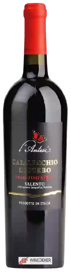 Winery L'Antesi - Marchesi Casalécchio di Sorbo Winery L'Antesi - Marchesi Casalécchio di Sorbo