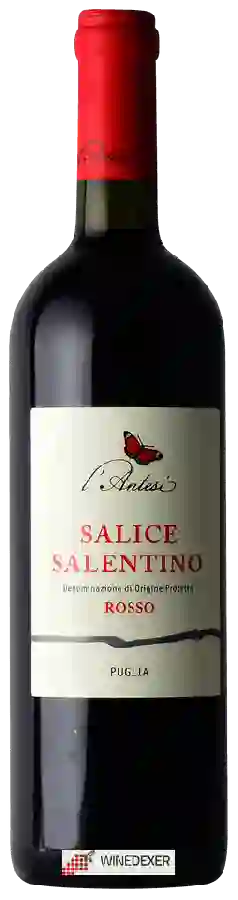 Winery L'Antesi - Salice Salentino Rosso Winery L'Antesi - Salice Salentino Rosso