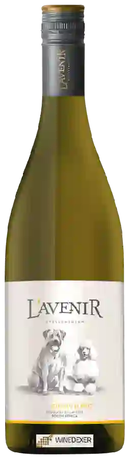 Winery L'Avenir - Far & Near Chenin Blanc