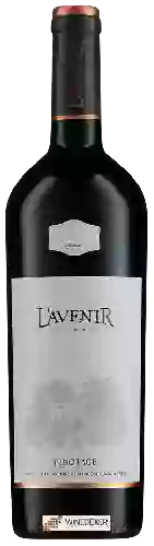 Winery L'Avenir - Provenance Pinotage