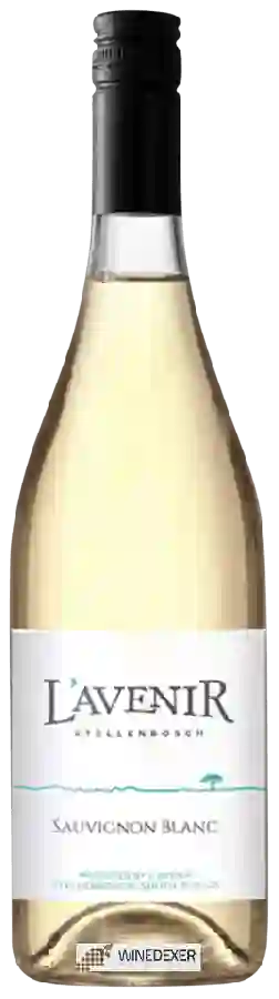 Winery L'Avenir - Sauvignon Blanc
