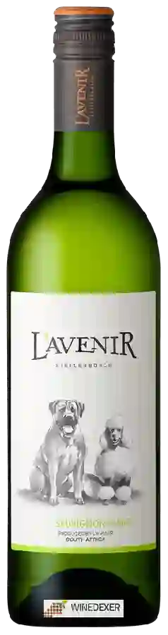 Winery L'Avenir - Far & Near Sauvignon Blanc