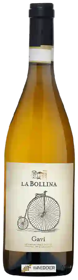 Winery La Bollina - Gavi