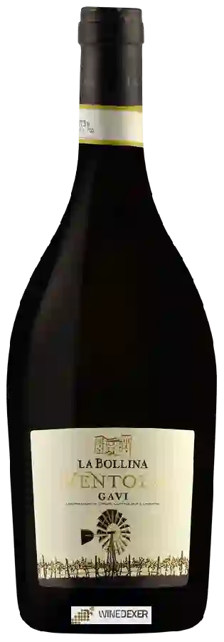 Winery La Bollina - Ventola