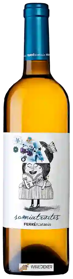 Winery La Caperucita Verde - Somiatruites