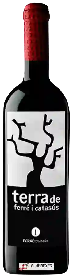 Winery La Caperucita Verde - Terra de Fic Winery La Caperucita Verde - Terra de Fic